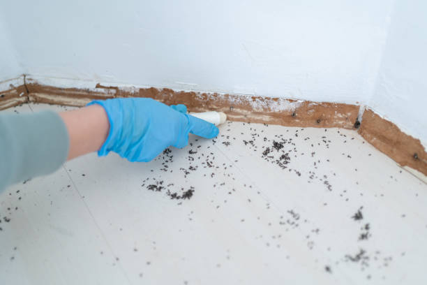 Best Pest Control for Multi-Family Homes  in Ruleville, MS